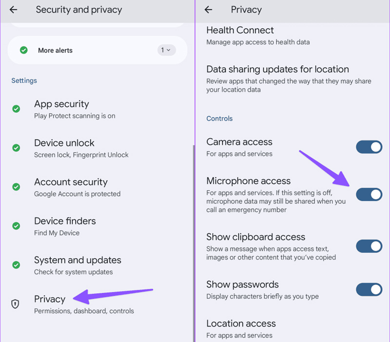 Check System Wide Microphone Permission