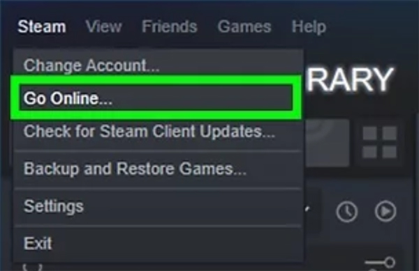 Go Online on Steam