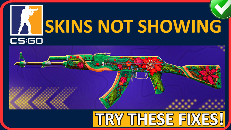 How To Fix CS2 Skins Not Showing In Game