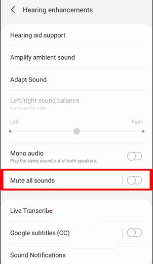 Hearing Accessibility